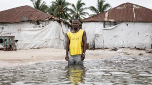 Entenda o Custo da Alimentação Escolar nos EAU: O Que Esperar
