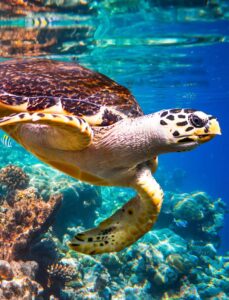 O Agito do Fim de Semana em Abu Dhabi: 5 Atividades Imperdíveis!